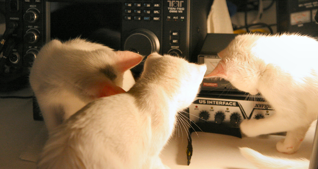 cat software for ham radio